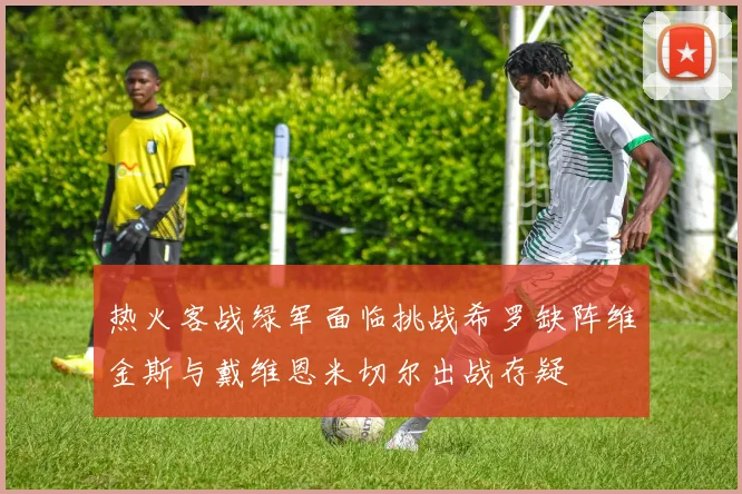 热火客战绿军面临挑战希罗缺阵维金斯与戴维恩米切尔出战存疑