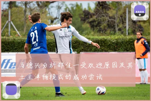 马德兴分析邵佳一受欢迎原因及其土主洋辅模式的成功尝试