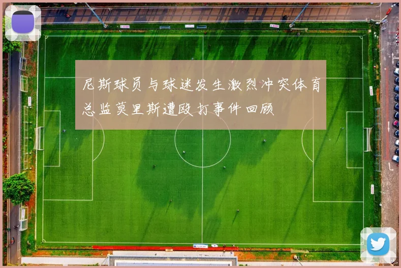 尼斯球员与球迷发生激烈冲突体育总监莫里斯遭殴打事件回顾