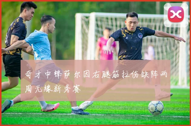 奇才中锋萨尔因右腿筋拉伤缺阵两周无缘新秀赛
