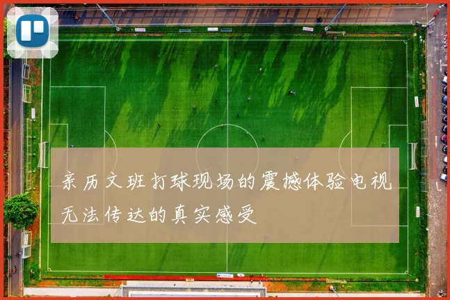 亲历文班打球现场的震撼体验电视无法传达的真实感受