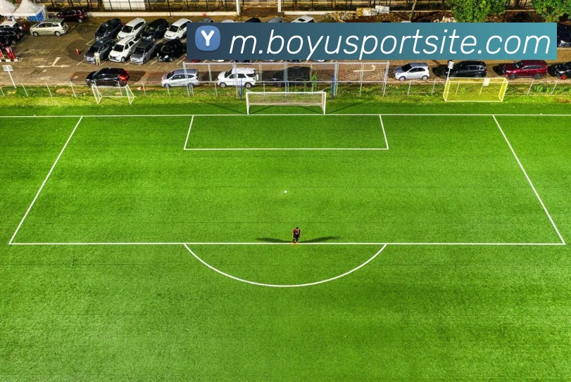 博鱼体育APP 封面图